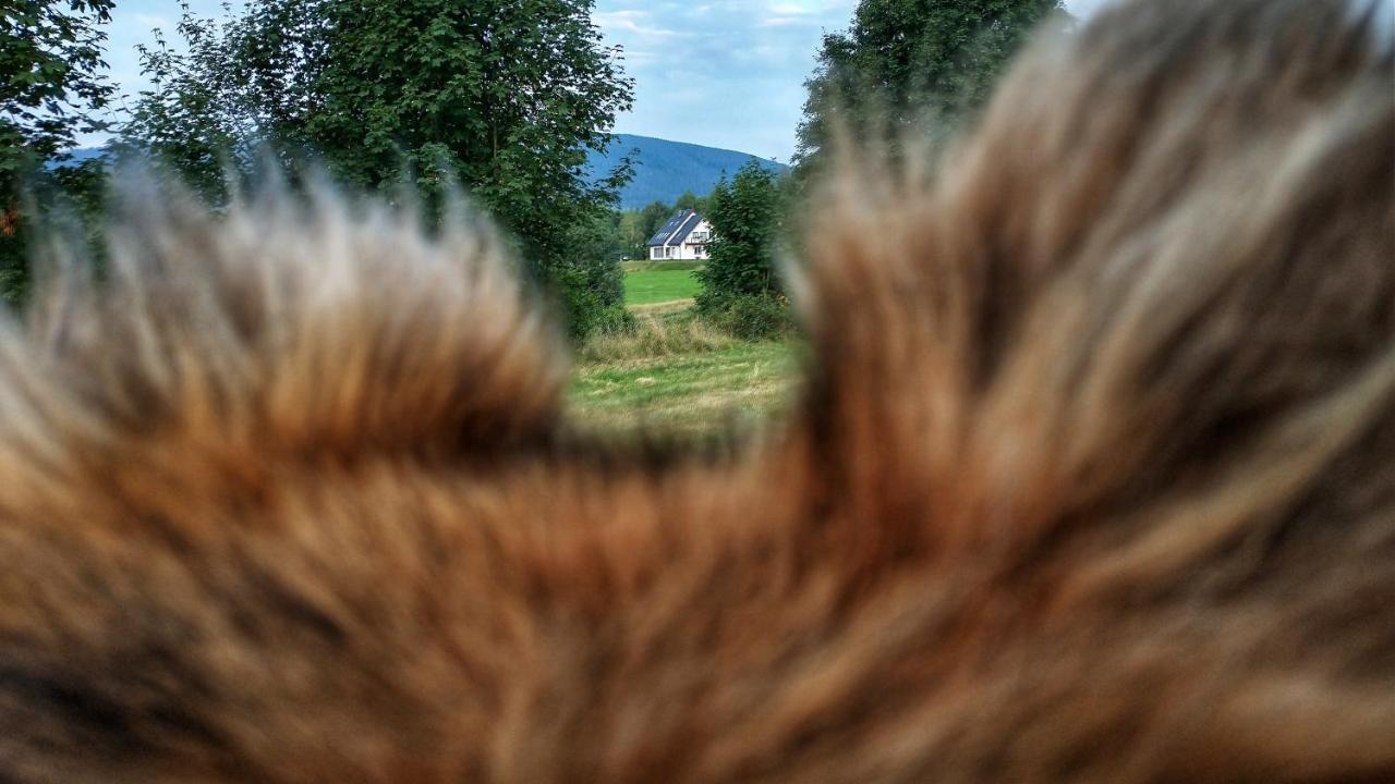 Rezydencja Ostoja Stronie Śląskie Kültér fotó